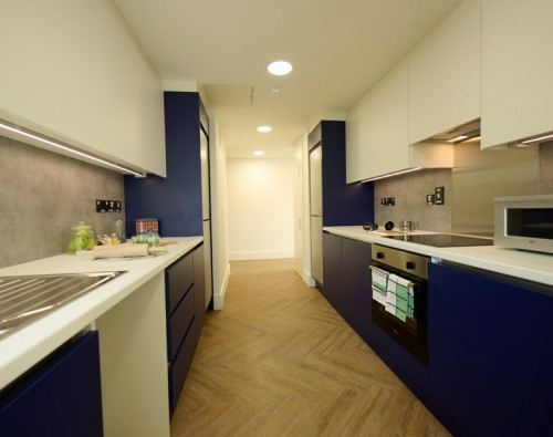 Montrose Dublin  - Gallery -  5