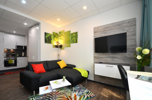 Appealing studio in a student residence, close to the Offenbach (Main) Marktplatz train station - Gallery - 15