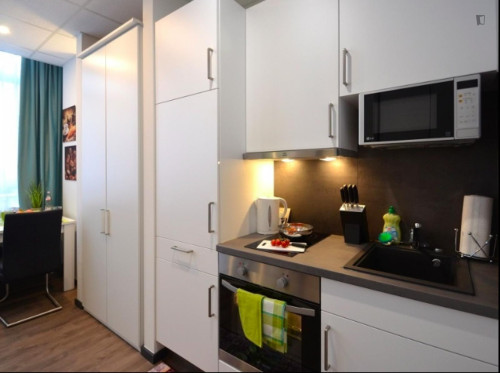 Appealing studio in a student residence, close to the Offenbach (Main) Marktplatz train station - Gallery - 26