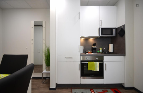 Appealing studio in a student residence, close to the Offenbach (Main) Marktplatz train station - Gallery - 12