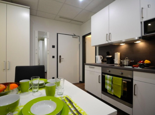 Appealing studio in a student residence, close to the Offenbach (Main) Marktplatz train station - Gallery - 6