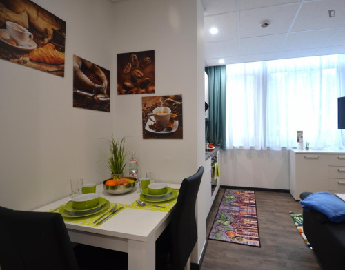 Appealing studio in a student residence, close to the Offenbach (Main) Marktplatz train station - Gallery - 20