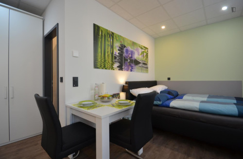 Appealing studio in a student residence, close to the Offenbach (Main) Marktplatz train station - Gallery - 10