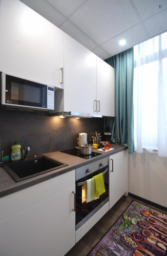 Appealing studio in a student residence, close to the Offenbach (Main) Marktplatz train station - Gallery - 17