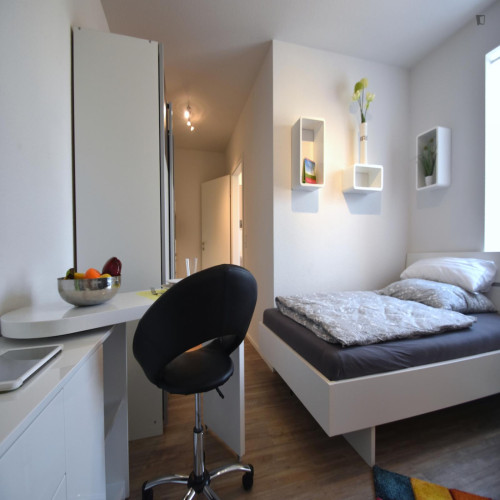Very comfy studio in a residence, in Raunheim - Gallery - 17