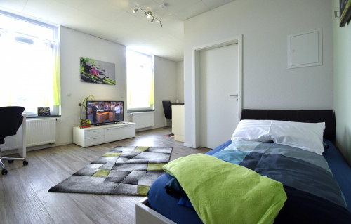 Very comfy studio in a residence, in Raunheim - Gallery - 6