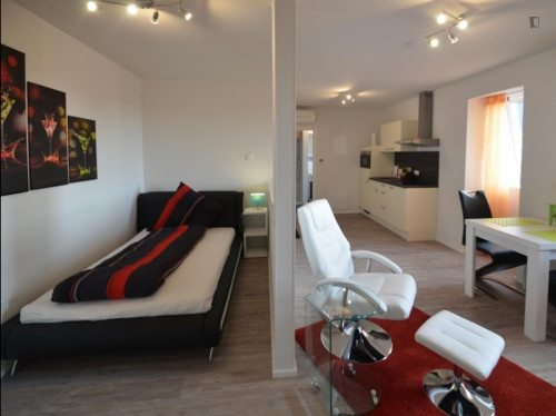 Very comfy studio in a residence, in Raunheim - Gallery - 14