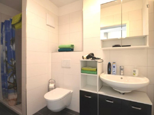 Very comfy studio in a residence, in Raunheim - Gallery - 11