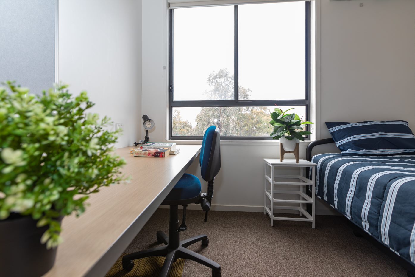  Single Room - Hillside  -  Units - La Trobe University Bendigo Campus  - Gallery -  1