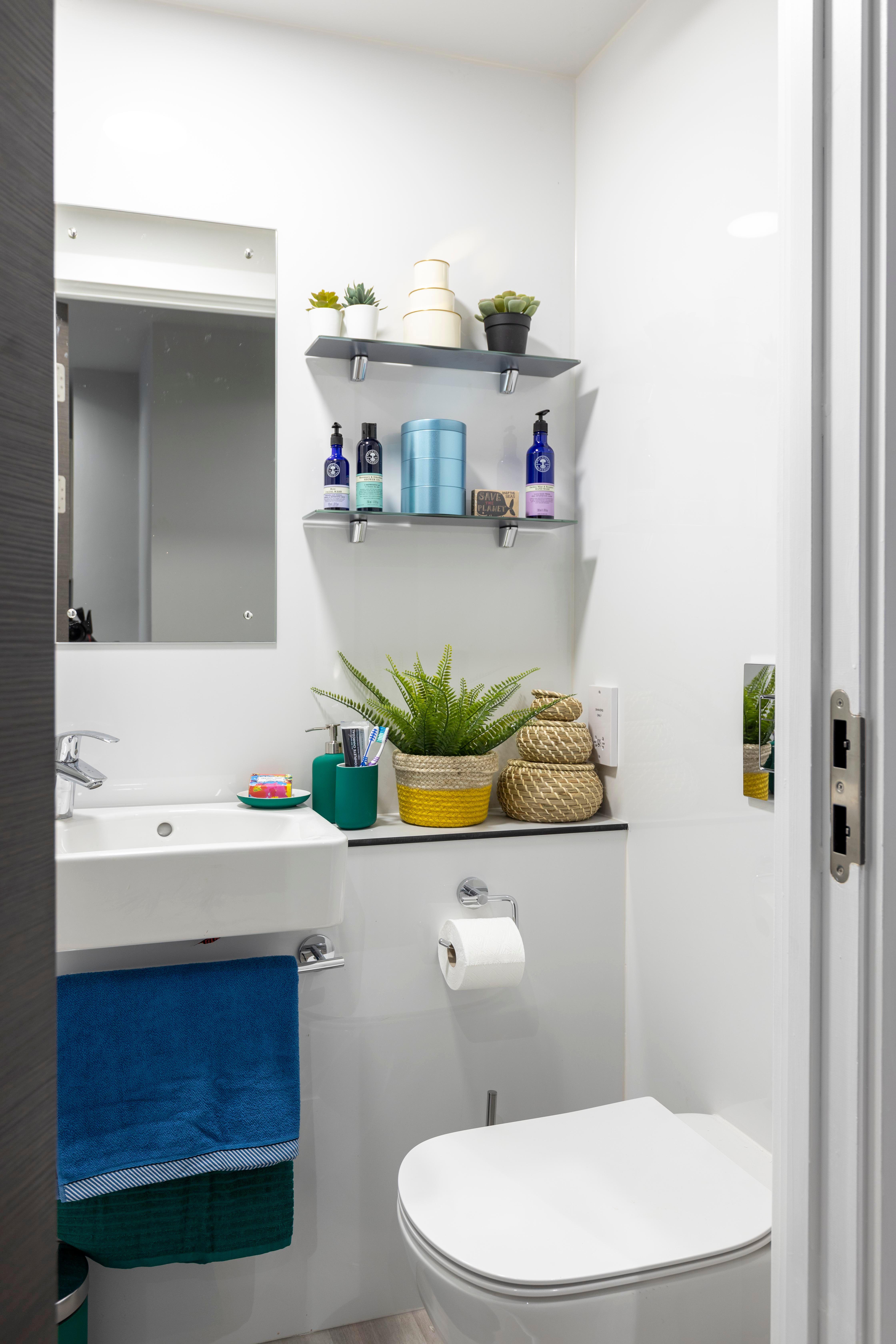  Premier Studio  -  9 De Montfort Mews  - Gallery -  7