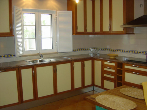 Charming 2-bedroom house in a pinewood resort on the beach - Gallery - 14