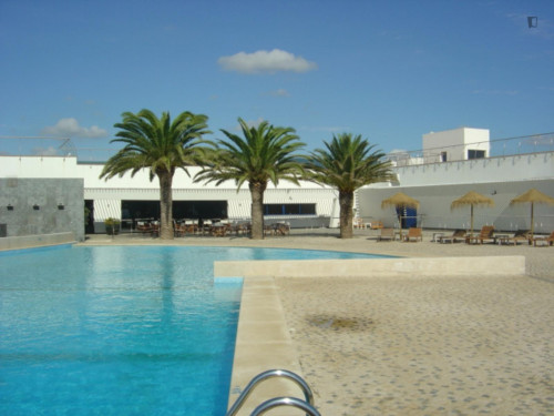 Charming 2-bedroom house in a pinewood resort on the beach  - Gallery -  5