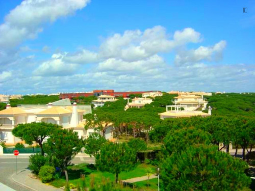 Charming 2-bedroom house in a pinewood resort on the beach - Gallery - 7