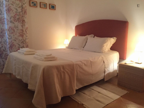 Charming 2-bedroom house in a pinewood resort on the beach - Gallery - 17