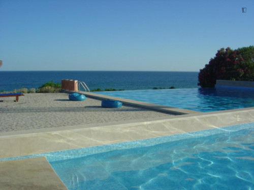 Charming 2-bedroom house in a pinewood resort on the beach - Gallery - 8
