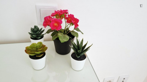 Bright 2-bedroom duplex with a terrace near Miradouro da Senhora do Monte - Gallery - 36