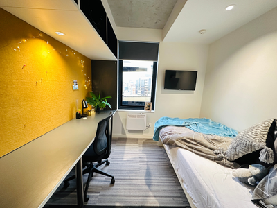  Standard Studio  -  Unilodge Auckland City  - Gallery -  8