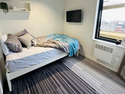  Premium Accessible Studio  -  Unilodge Auckland City  - Gallery -  4