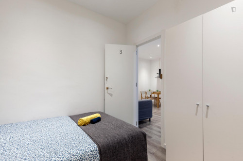 Lovely double bedroom close to Facultat de Filosofia - Universitat de Barcelona  - Gallery -  3