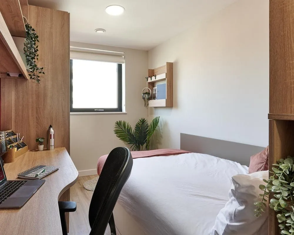  Bronze En-Suite  -  Christchurch Road  - Gallery -  5