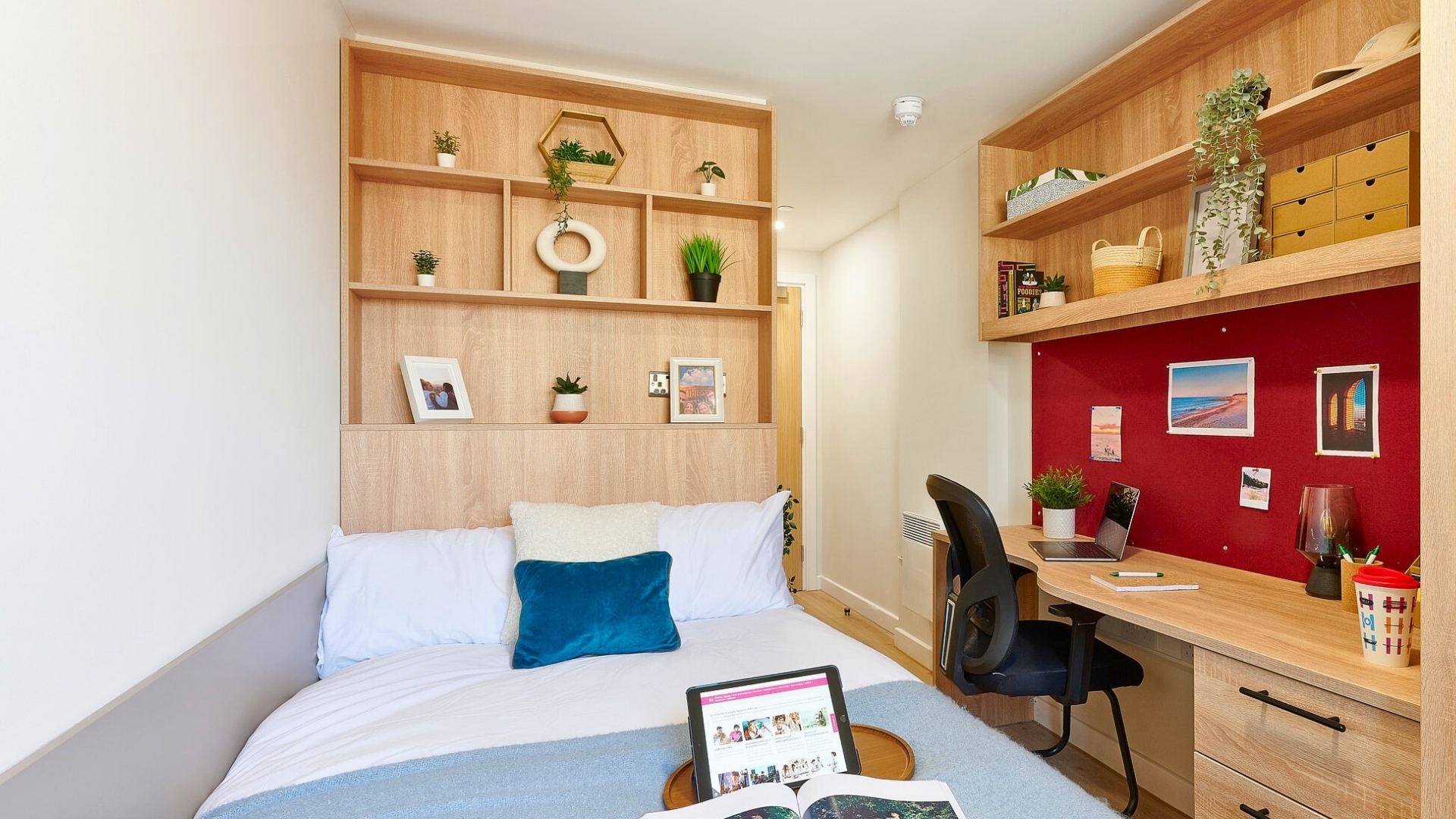  Gold En-Suite  -  Christchurch Road  - Gallery -  5