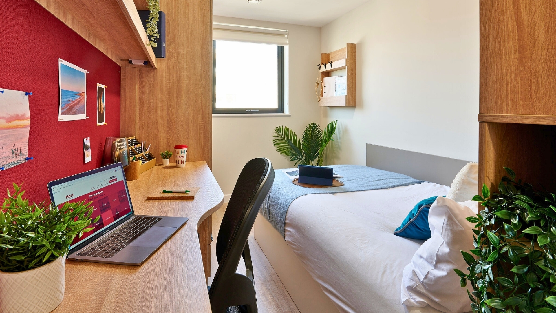  Gold En-Suite  -  Christchurch Road  - Gallery -  1