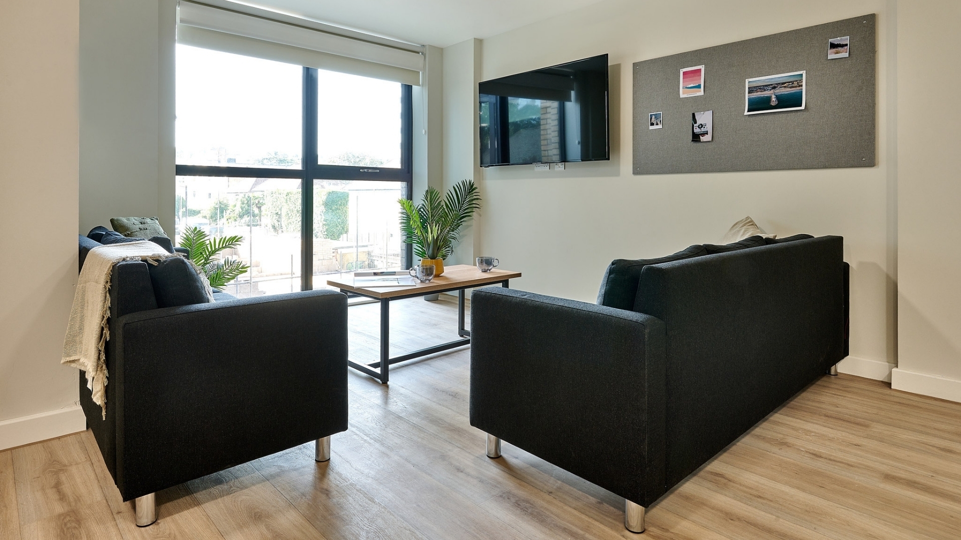  Gold En-Suite  -  Christchurch Road  - Gallery -  3