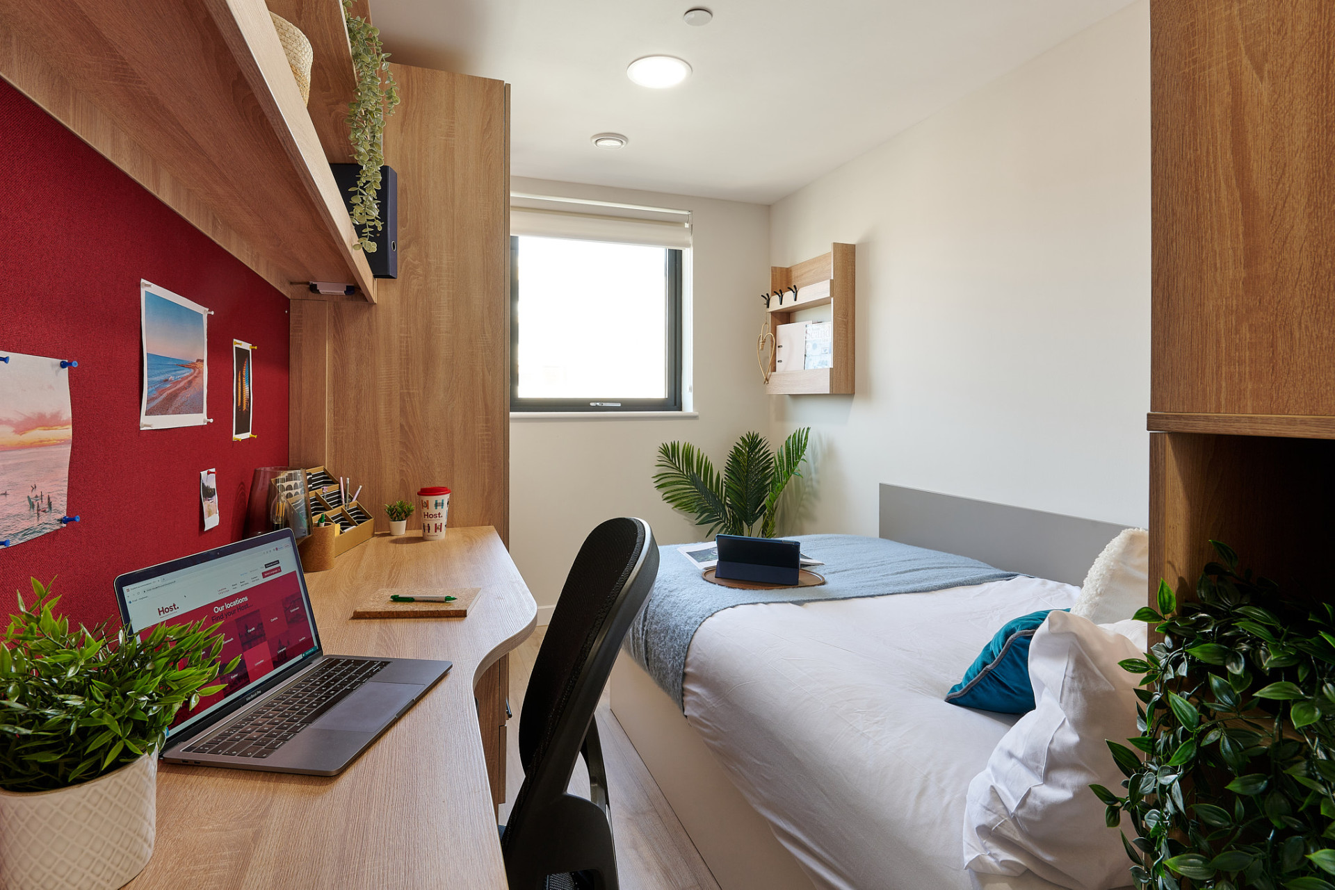 Bronze Plus En-Suite - 9