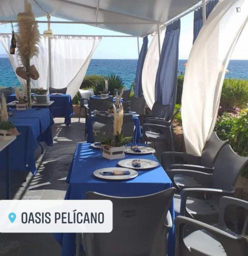 First line apartment with beach and community restaurant in palma  - Gallery -  5