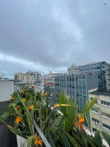 Bright 2-bedroom apartment with a terrace near Avenida metro station