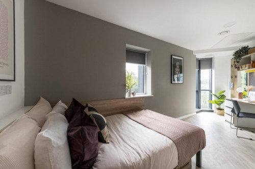 Altura - Gallery - 18