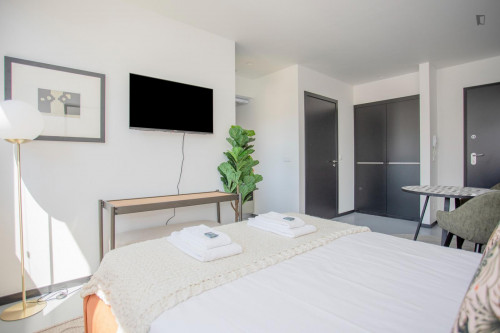 Cute studio close to Trindade metro station