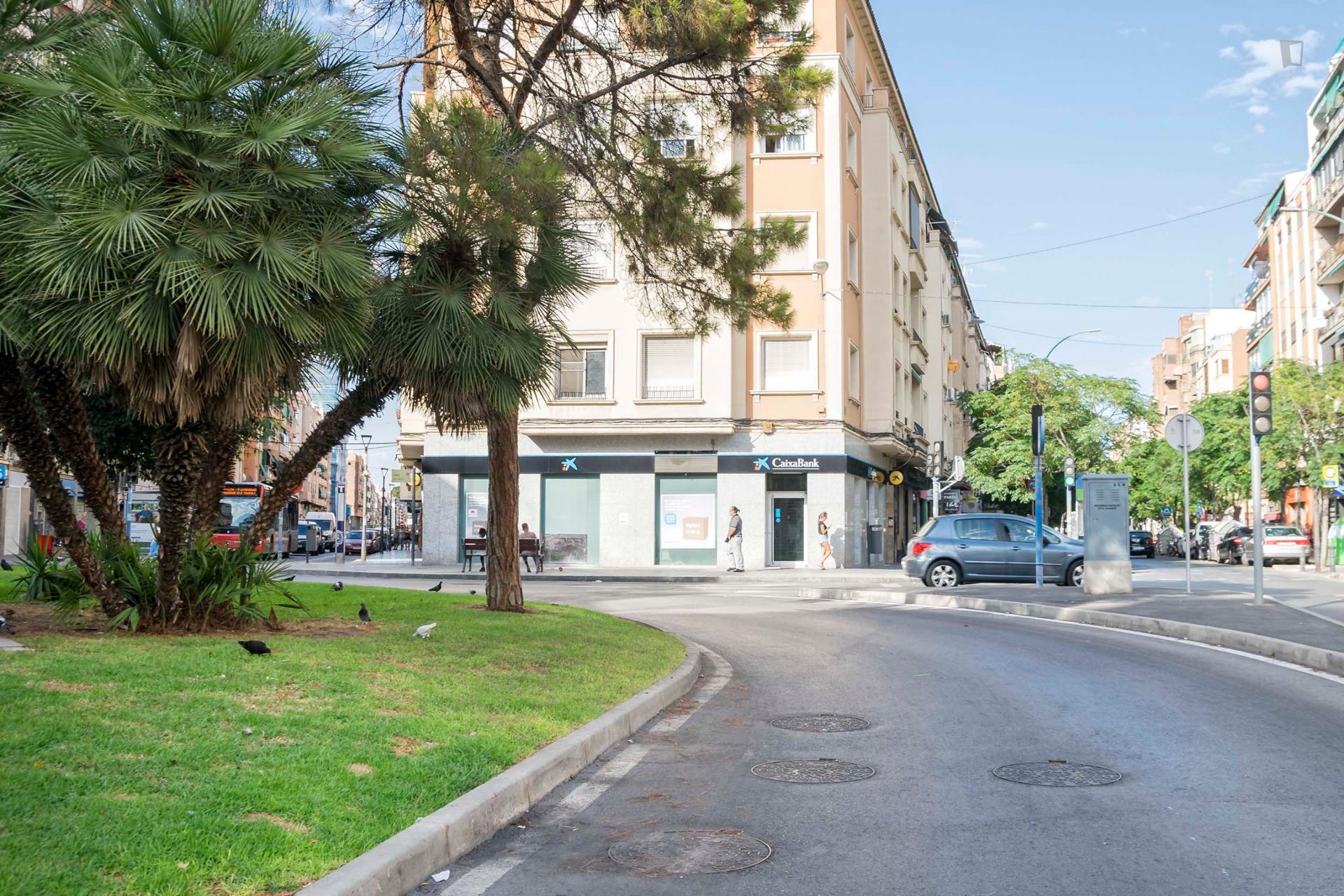 Alluring single bedroom in Alicante