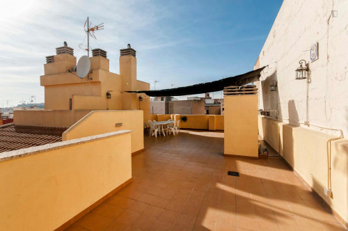 Alluring single bedroom in Alicante - Gallery - 12