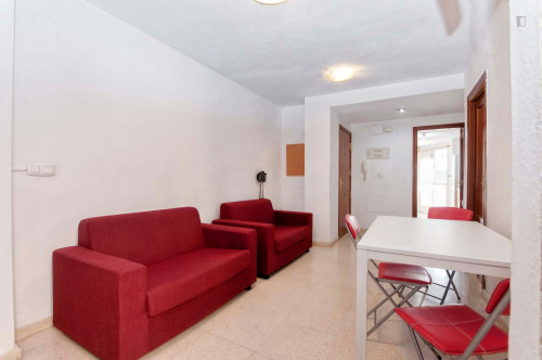 Alluring single bedroom in Alicante - Gallery - 26