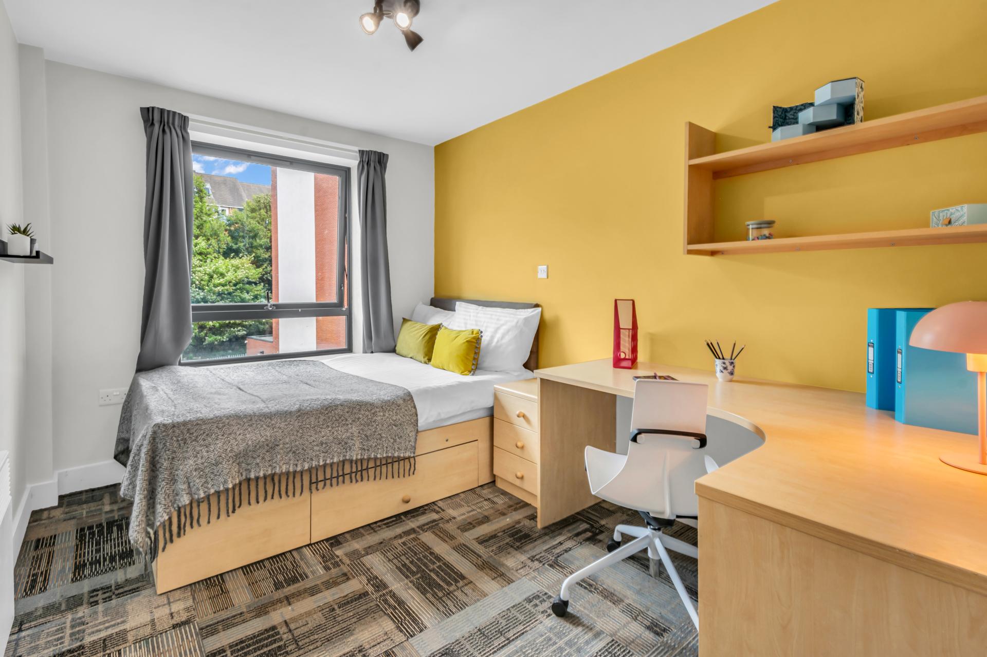  Standard Room  -  The Triangle  - Gallery -  5