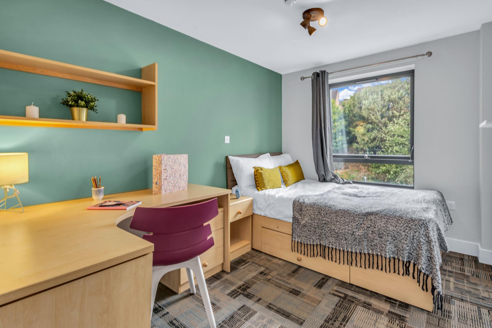  Standard Room  -  The Triangle  - Gallery -  1
