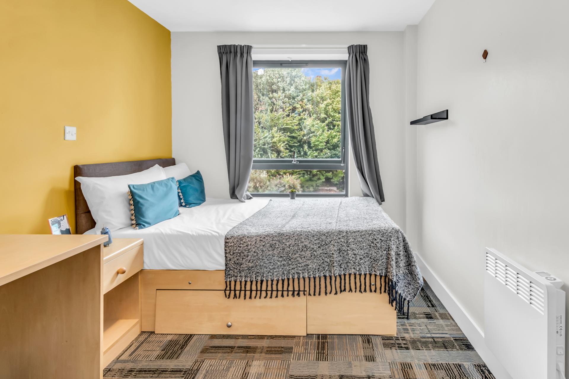  Standard Room  -  The Triangle  - Gallery -  7