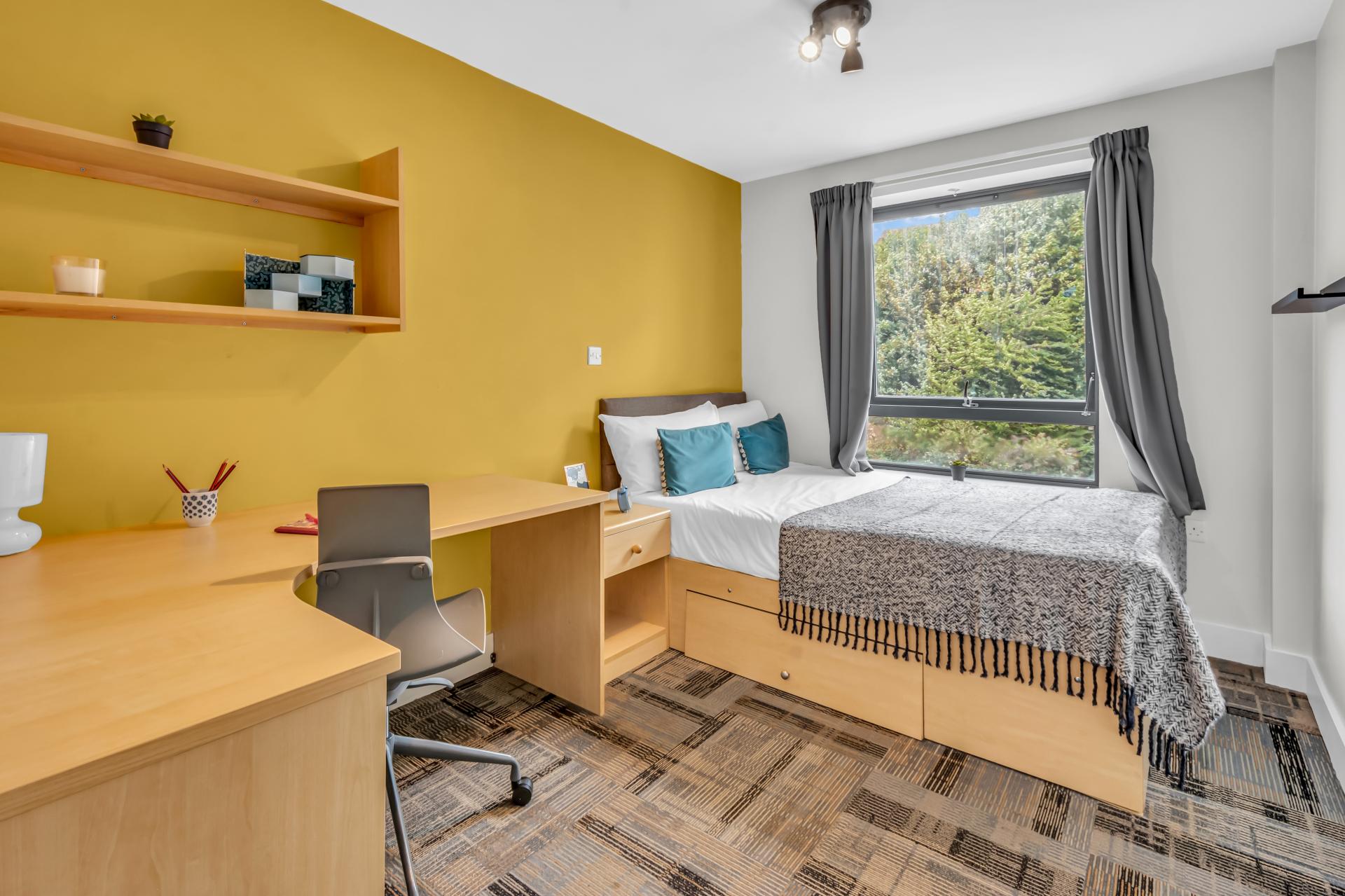  Standard Room  -  The Triangle  - Gallery -  2