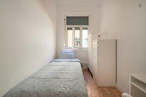 Smart single bedroom in a shared apartment, in Marquês de Pombal area