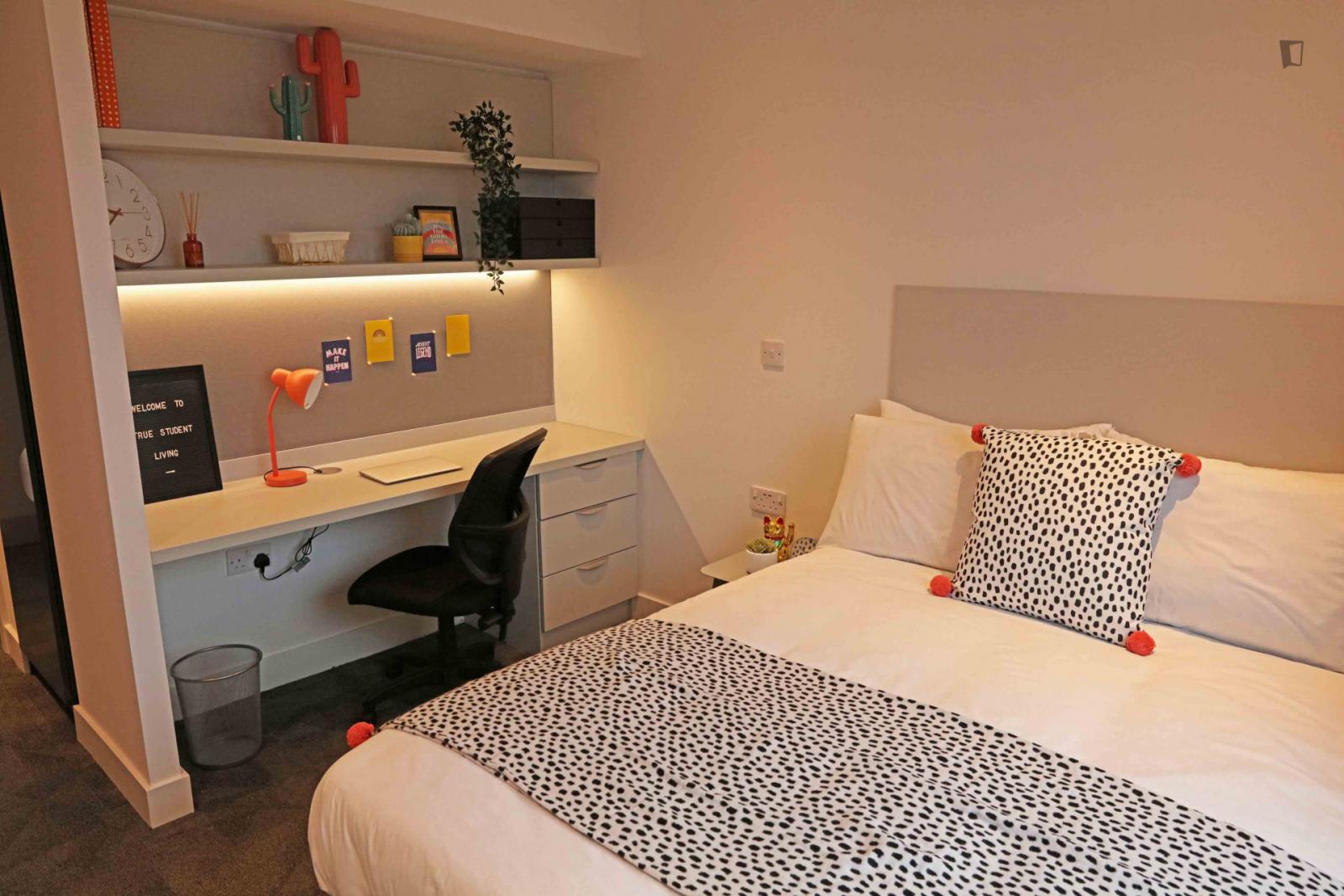  Very Cool Double Ensuite Bedroom In A Residence, Close To Swansea Train Station  -  Very cool double ensuite bedroom in a residence, close to Swansea train station  - Gallery -  1