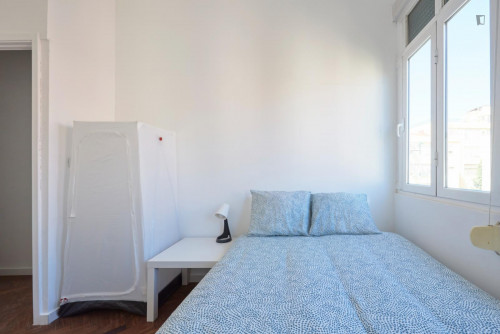 Luminous double bedroom in a shared apartment, in Marquês de Pombal area