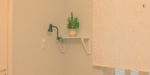 Cosy double bedroom near the University of Economics and Business