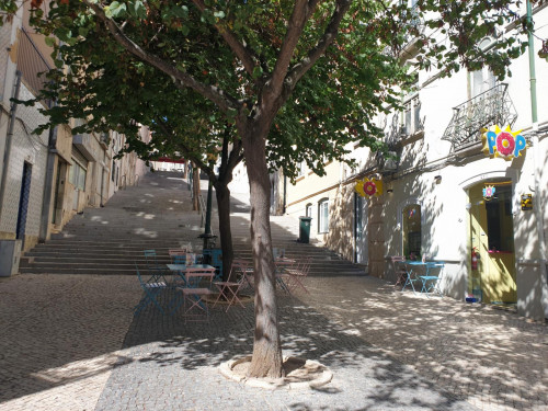 Charismatic 1-bedroom apartment near Instituto Superior Técnico