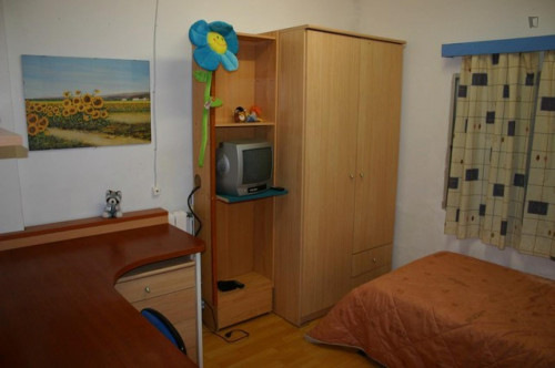 Single bedroom in a 5 bedroom apartment (2B)