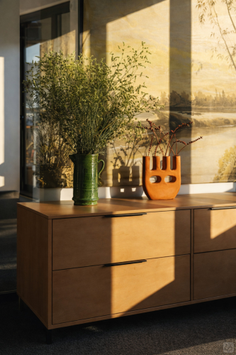 Doctor Yordan Yosifov Collective - Gallery - 144
