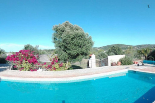 Welcoming 3-bedroom house, with a swimming pool 