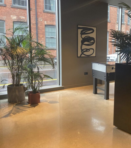 Primus Place - Gallery - 6
