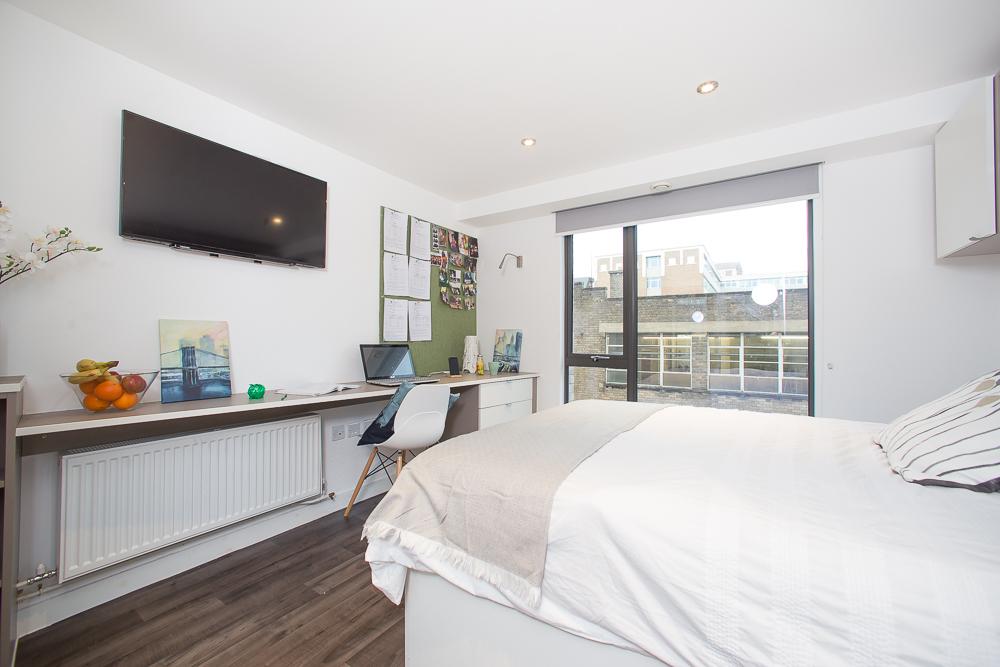  Classic Studio Penthouse  -  Primus Place  - Gallery -  1