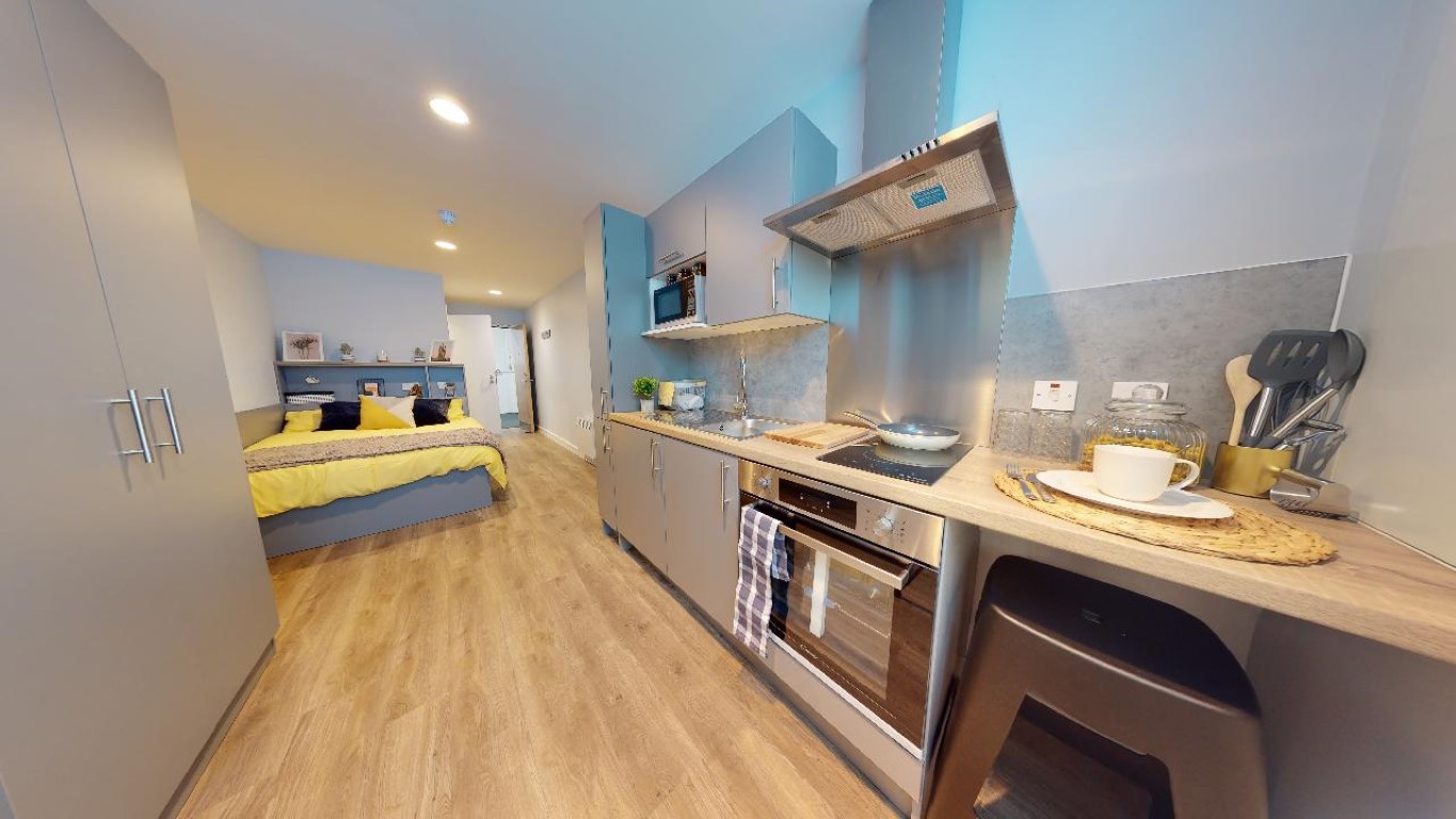  Bronze Studio  -  iQ Nelson Court  - Gallery -  13